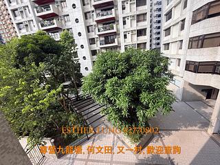 Ho Man Tin - The Crescent 02