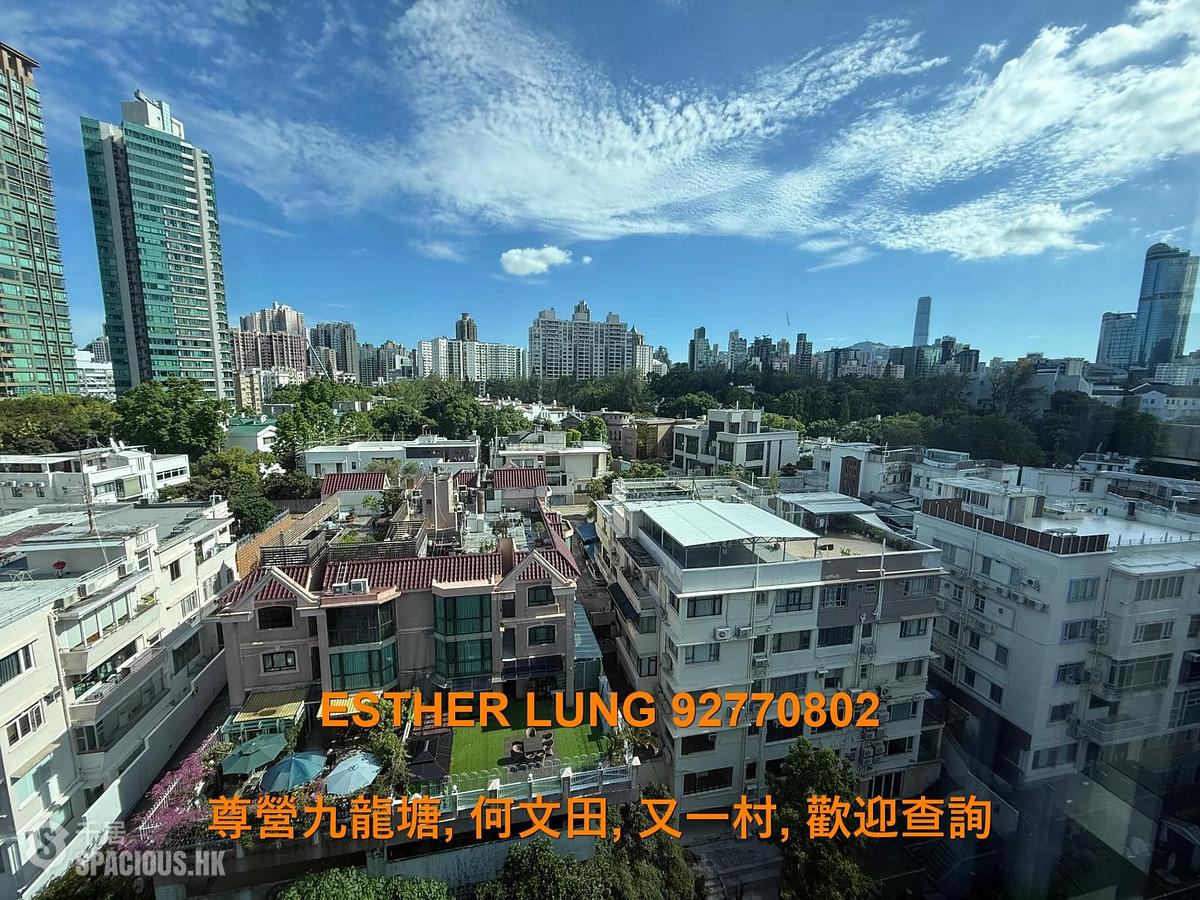 Ho Man Tin - 233 Prince Edward Road West 01