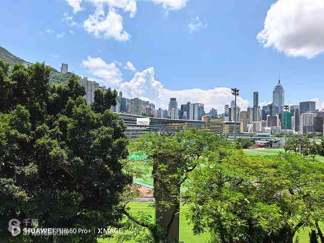 Happy Valley - Green View Mansion 03