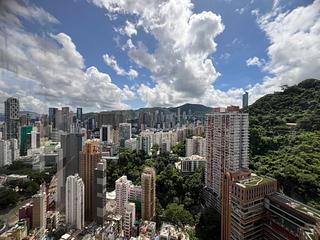 東半山 - 竹林苑74号 02