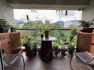 薄扶林 - 碧瑤灣26座 04