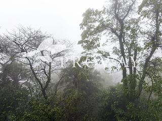 山頂 - 紅梅閣 02