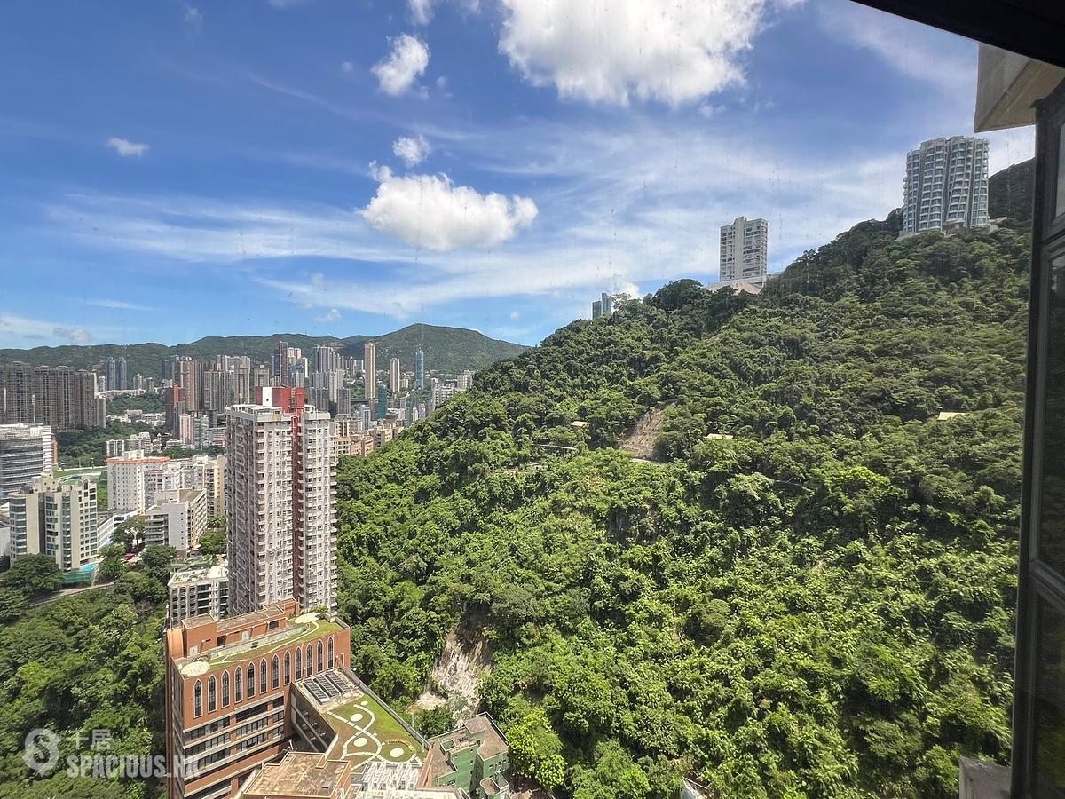 東半山 - 竹林苑 01