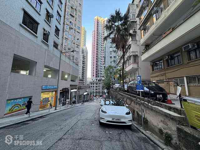 Mid Levels West - Sung Ling Mansion 10
