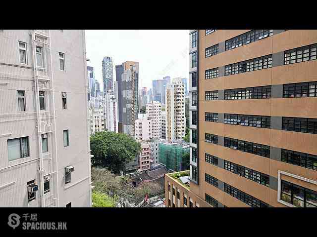 東半山 - 丰乐新邨 02