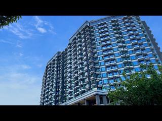 黄金海岸/扫管笏 - Oma Oma 10