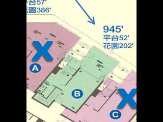 黄金海岸/扫管笏 - Oma Oma 14