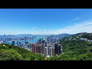 山頂 - The Mount Austin 28