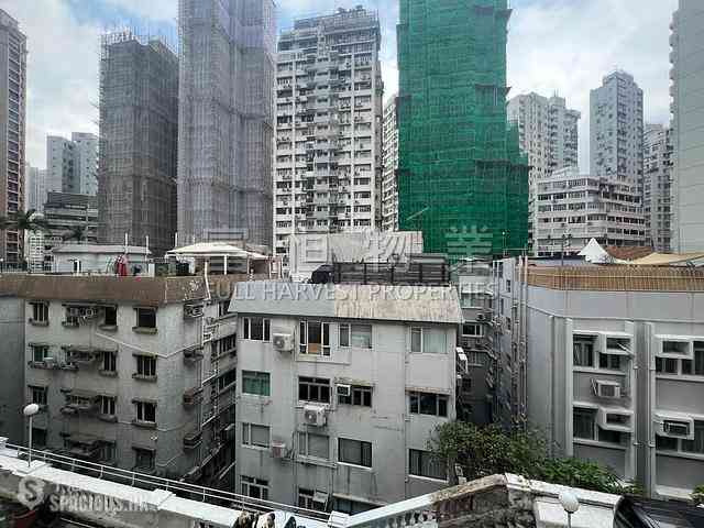 Happy Valley - Richview Villa 07