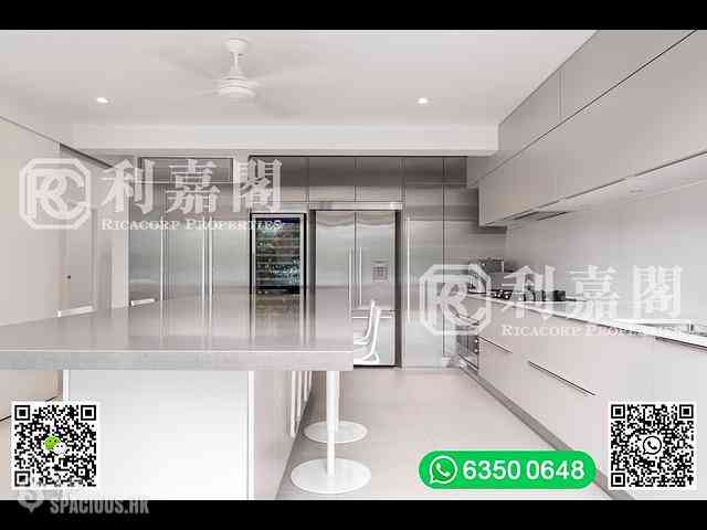 Clear Water Bay - The Green Villa 04