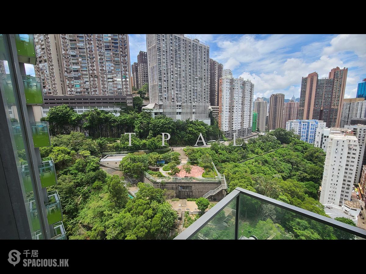 North Point - Lime Habitat 01