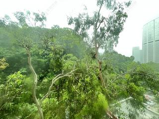 東半山 - 萬信台 06