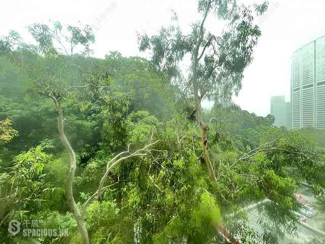 東半山 - 萬信台 06