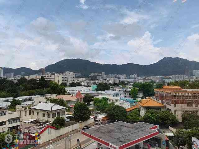 Ho Man Tin - Kowloon Tong Mansion 05