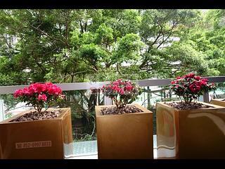 Kennedy Town - The Hudson 18