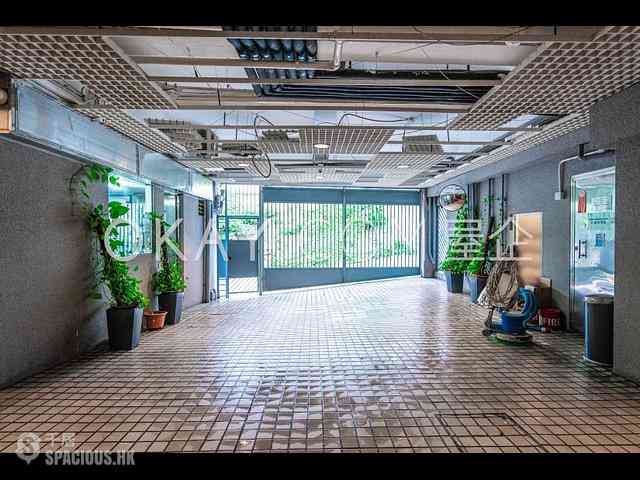 薄扶林 - Bisney View 22