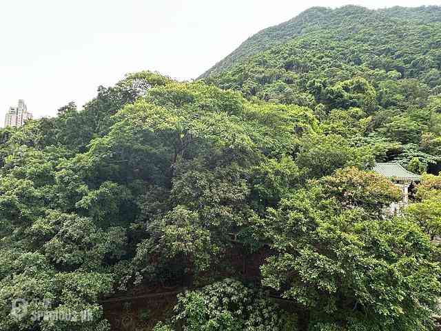 西半山 - 聯邦花園 倫敦閣 (1座) London Court 11