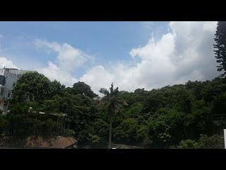 Sai Kung - Man King Terrace 03