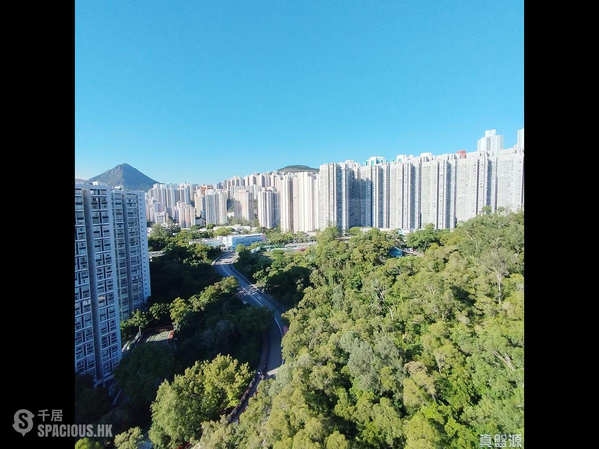 茶果嶺 - Koko Hills 01