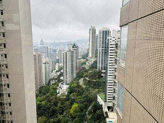 中半山 - 蔚皇居 04