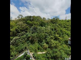 茶果嶺 - Koko Hills 02