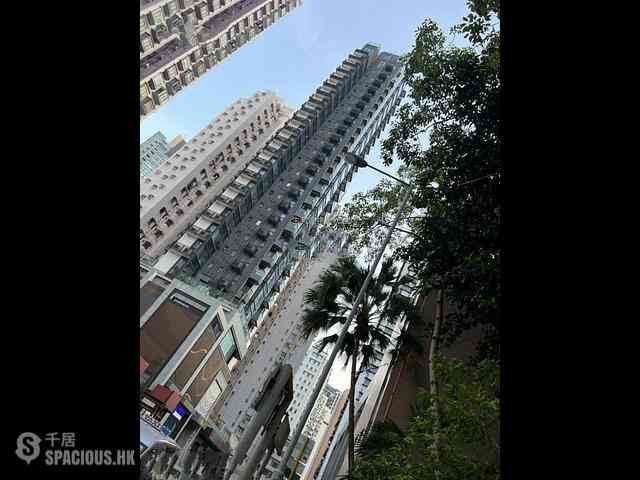 To Kwa Wan - Alpine 18 08