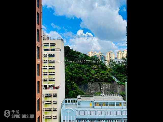 油麻地 - 恩佳大厦 11