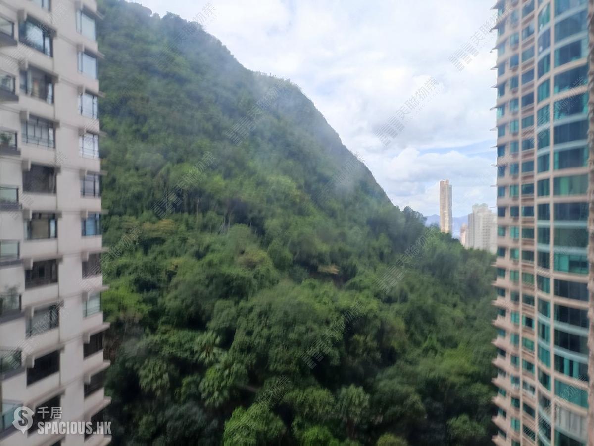 中半山 - 地利根德閣3座 01