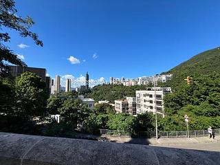 Jardines Lookout - Carrie Garden 11