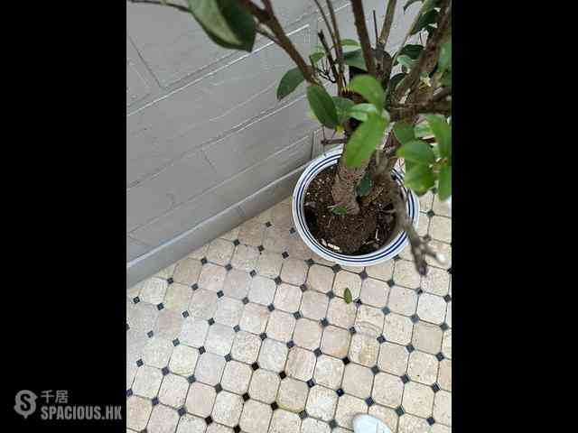 Hung Hom - Tak Yue Mansion 13