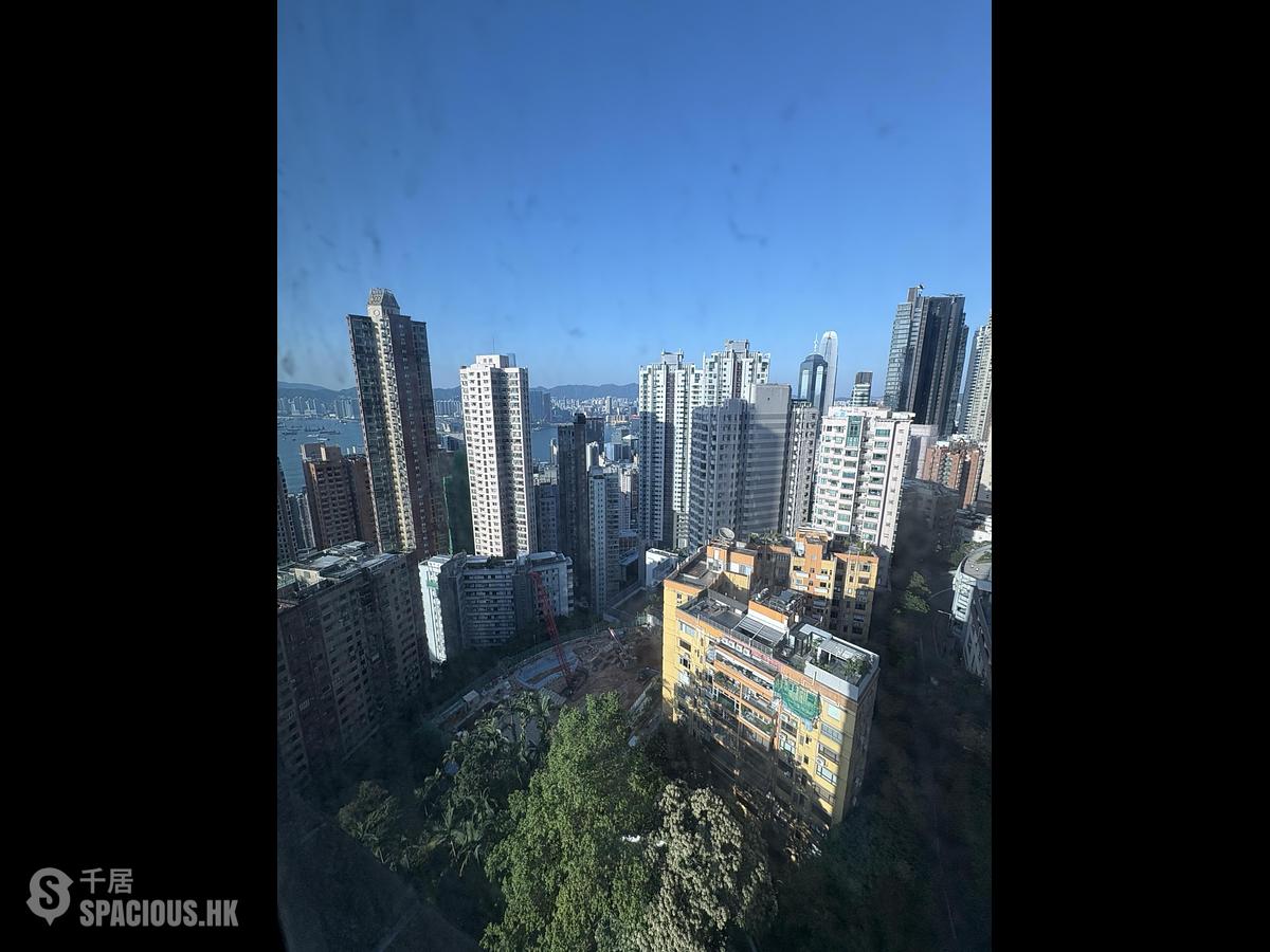 西半山 - 帝豪閣C座 01