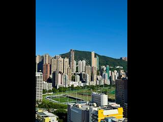 Wan Chai - The Oakhill 11