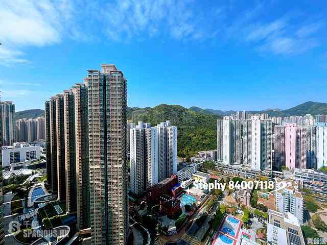 Tseung Kwan O - The Wings The Wings Block 1 01