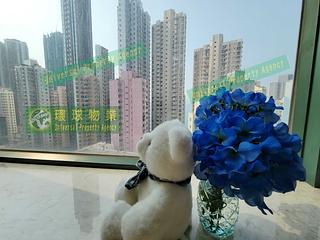 Kennedy Town - Belcher's Hill 02