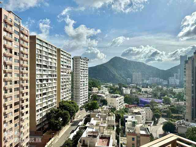 渣甸山 - 柏麗園AB座 14