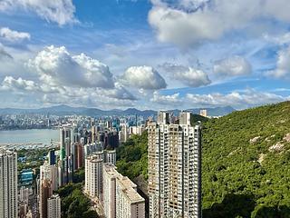 Tai Hang - The Legend 10