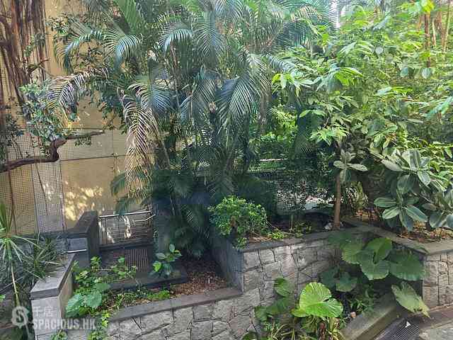 Sai Ying Pun - College View Mansion 01
