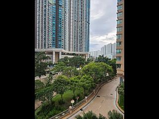 大角咀 - 维港湾 03