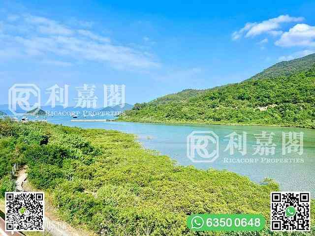 馬鞍山 - 企嶺下老圍 27