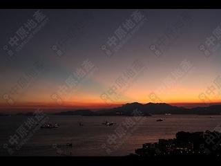 薄扶林 - 碧瑶湾19座 03