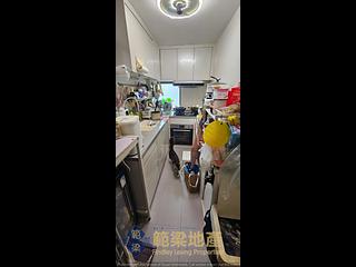 Mui Wo - Tai Tei Tong 06