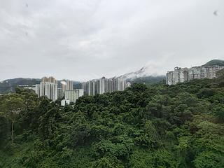 Tai Wai - The Great Hill 05
