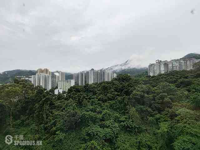 Tai Wai - The Great Hill 05