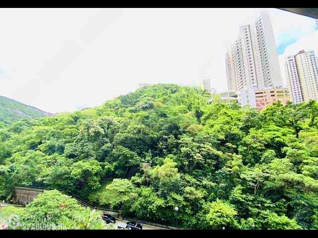 Tai Hang - The Legend Block 3 04