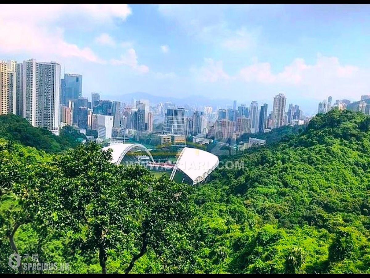 跑马地 - 渣甸山花园大厦 01