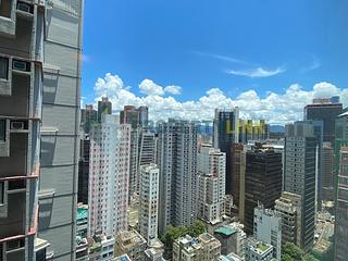 Poho - Rich View Terrace 11