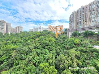 North Point - Lime Habitat 04