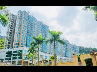 Beacon Hill - Dynasty Heights Tropicana 17