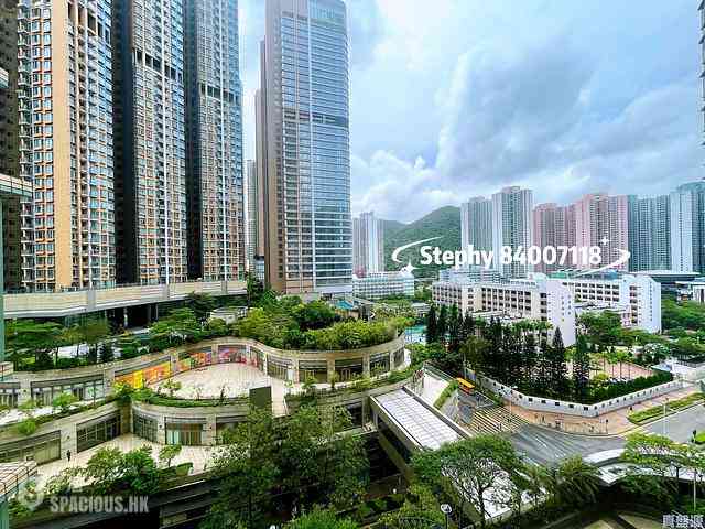 Tseung Kwan O - The Grandiose Block 2 02
