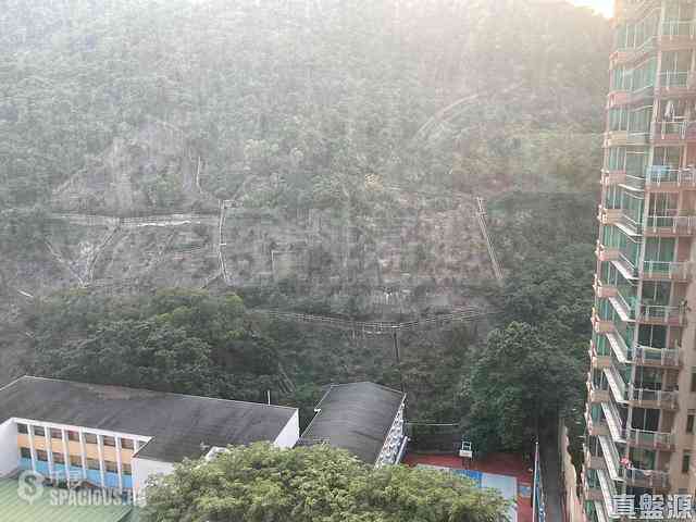 Quarry Bay - Royal Terrace 01